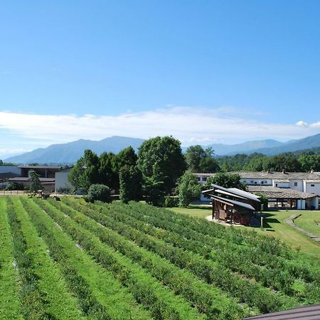Agriturismo Il Frutto Permesso Bibiana Exteriör bild