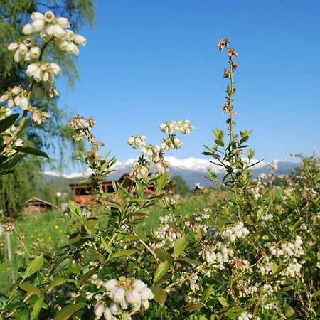 Agriturismo Il Frutto Permesso Bibiana Exteriör bild