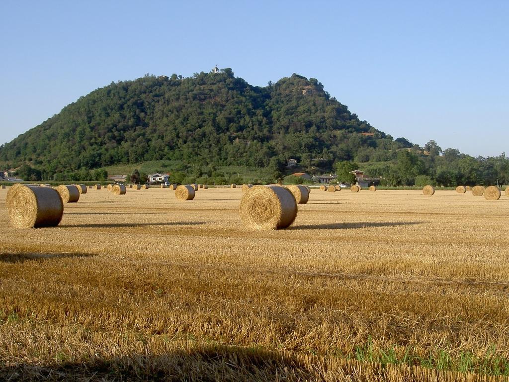 Agriturismo Il Frutto Permesso Bibiana Exteriör bild