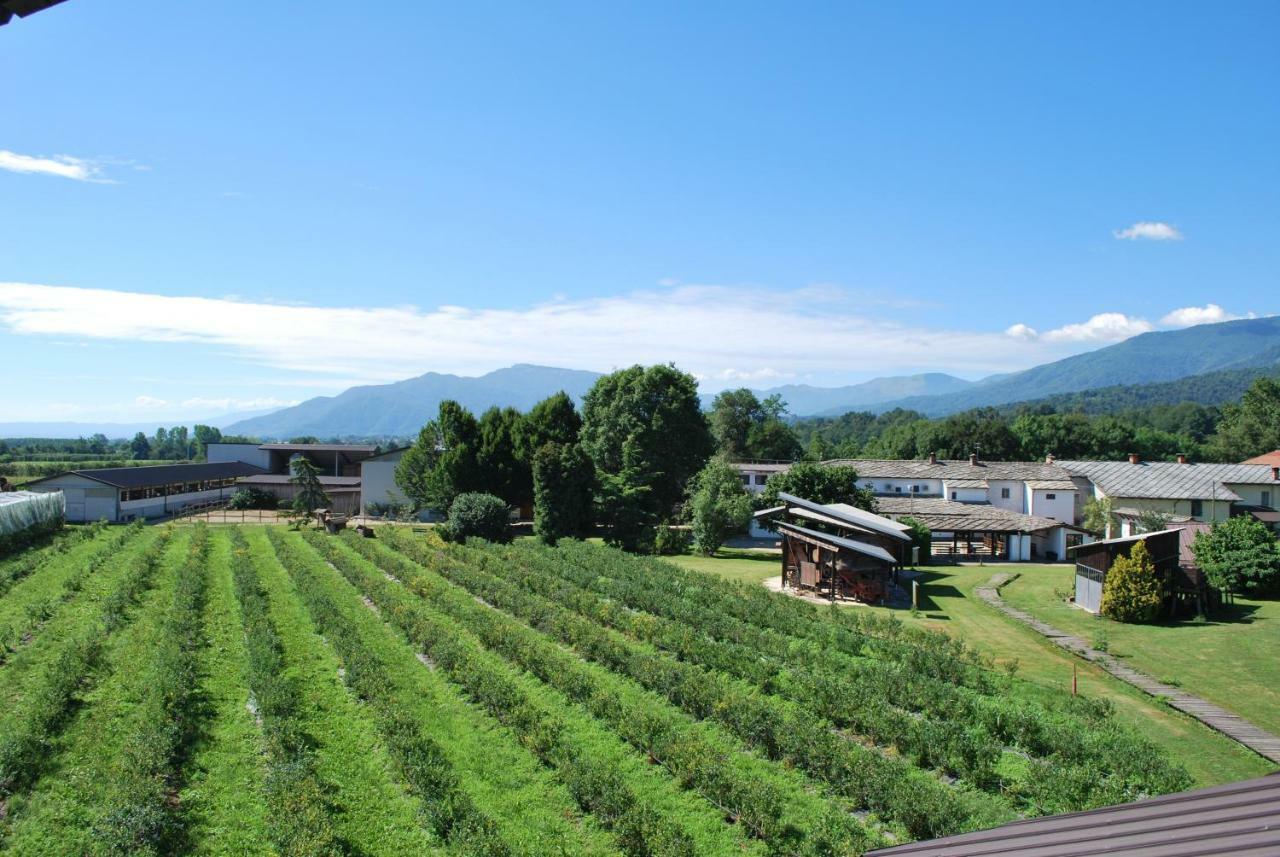 Agriturismo Il Frutto Permesso Bibiana Exteriör bild
