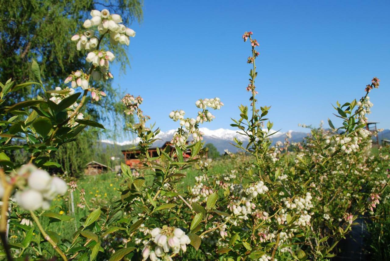 Agriturismo Il Frutto Permesso Bibiana Exteriör bild